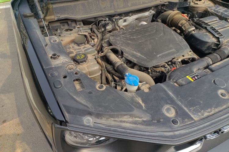 Used Haval H Dog New Energy 2023 DHT-PHEV 105km Tide Electric Version Plus Engine Bay Right
