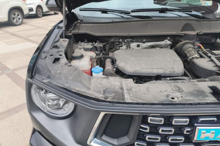 Used Haval H Dog New Energy 2023 DHT-PHEV 105km Tide Electric Version Plus Engine Bay Right