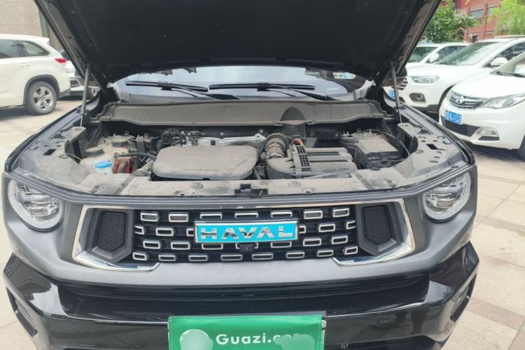 Used Haval H Dog New Energy 2023 DHT-PHEV 105km Tide Electric Version Plus Engine Bay
