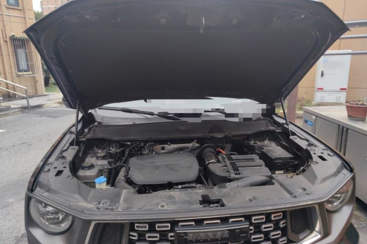 Used Haval H Dog New Energy 2023 DHT-PHEV 105km Tide Electric Version Plus Engine Bay
