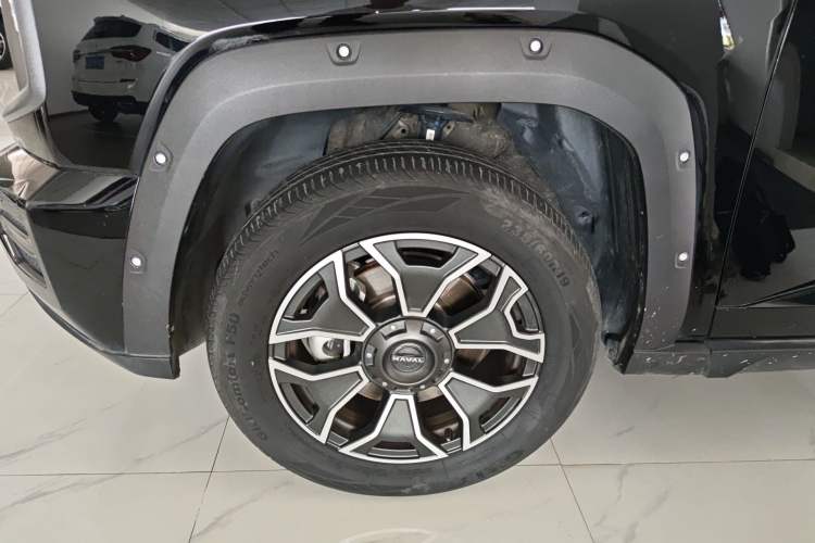 Used Haval H Dog New Energy 2023 DHT-PHEV 105km Tide Electric Version Plus Exterior 4