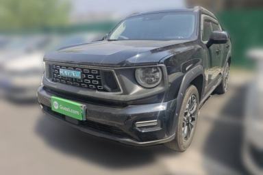 Used Haval H Dog New Energy 2023 DHT-PHEV 105km Tide Electric Version Plus
