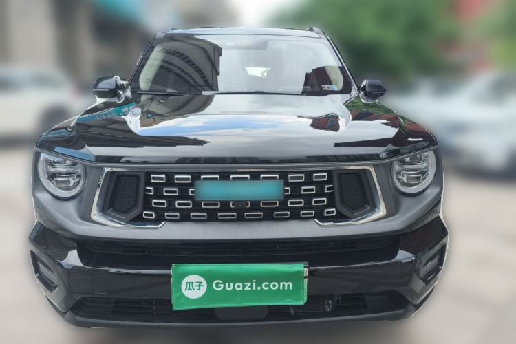 Used Haval H Dog New Energy 2023 DHT-PHEV 105km Tide Electric Version Plus Front