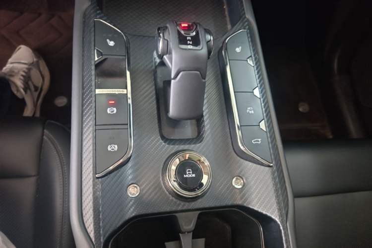 Used Haval H Dog New Energy 2023 DHT-PHEV 105km Trend Electric Edition Gear Lever