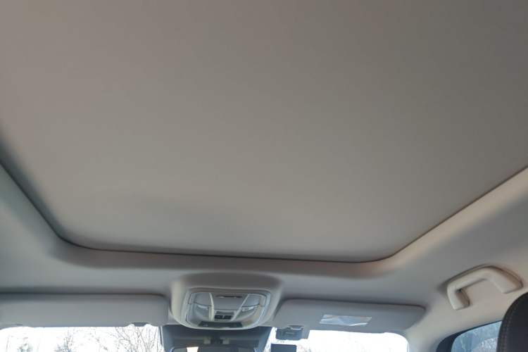 Used Haval H Dog New Energy 2023 DHT-PHEV 105km Tide Electric Version Plus Headliner