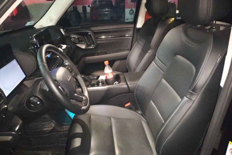 Used Haval H Dog New Energy 2023 DHT-PHEV 105km Tide Electric Version Plus Left Front Seat