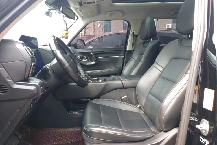 Used Haval H Dog New Energy 2023 DHT-PHEV 105km Tide Electric Version Plus Left Front Seat