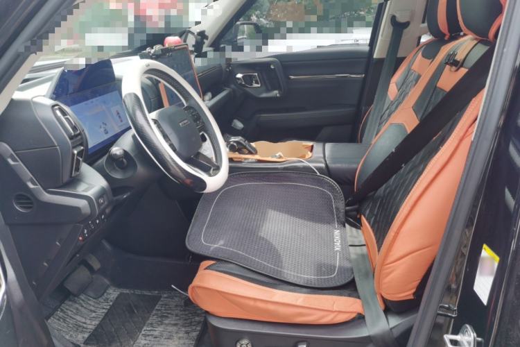 Used Haval H Dog New Energy 2023 DHT-PHEV 105km Tide Electric Version Plus Left Front Seat