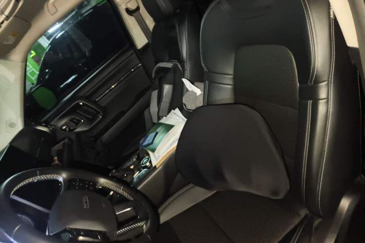 Used Haval H Dog New Energy 2023 DHT-PHEV 105km Tide Electric Version Plus Left Front Seat
