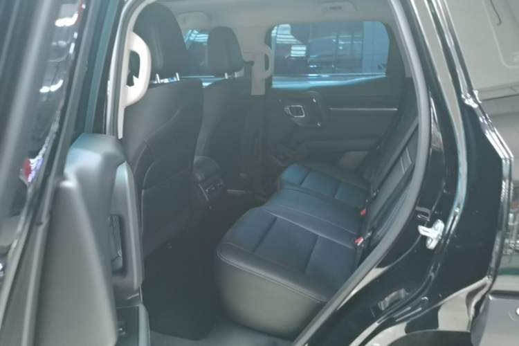 Used Haval H Dog New Energy 2023 DHT-PHEV 105km Tide Electric Version Plus Left Rear Seat