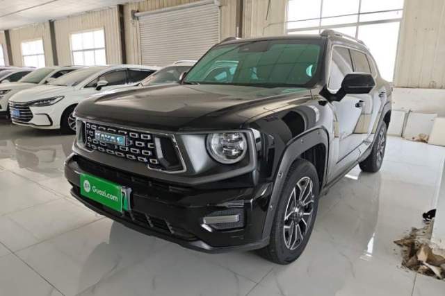 Used Haval H Dog New Energy 2023 DHT-PHEV 105km Tide Electric Version Plus