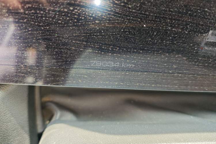Used Haval H Dog New Energy 2023 DHT-PHEV 105km Tide Electric Version Plus Odometer Close Up