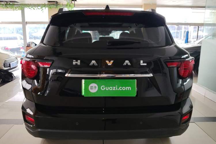 Used Haval H Dog New Energy 2023 DHT-PHEV 105km Tide Electric Version Plus Rear