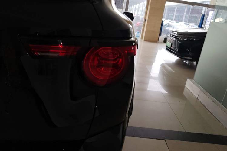 Used Haval H Dog New Energy 2023 DHT-PHEV 105km Tide Electric Version Plus Right Rear Taillight