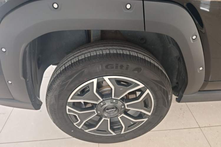 Used Haval H Dog New Energy 2023 DHT-PHEV 105km Trend Electric Edition Right Rear Wheel Hub