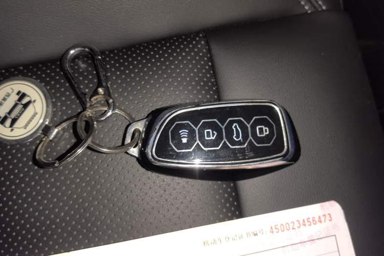 Used Haval H Dog New Energy 2023 DHT-PHEV 105km Tide Electric Version Plus Vehicle Key