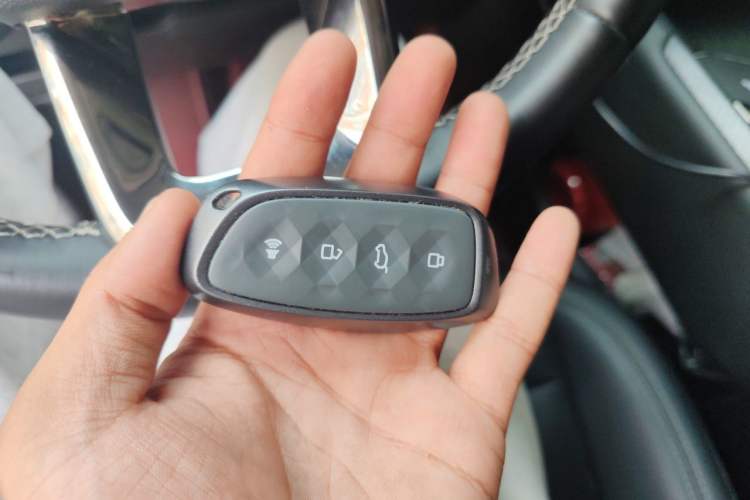 Used Haval H Dog New Energy 2023 DHT-PHEV 105km Tide Electric Version Plus Vehicle Key