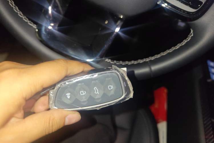Used Haval H Dog New Energy 2023 DHT-PHEV 105km Tide Electric Version Plus Vehicle Key