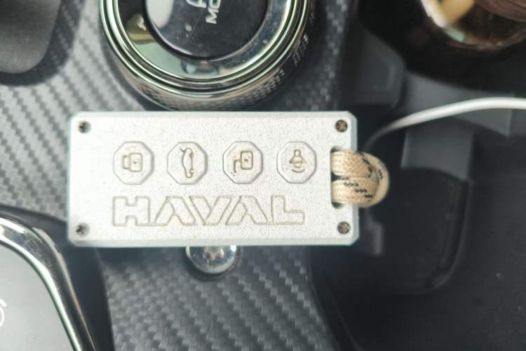 Used Haval H Dog New Energy 2023 DHT-PHEV 105km Tide Electric Version Plus Vehicle Key