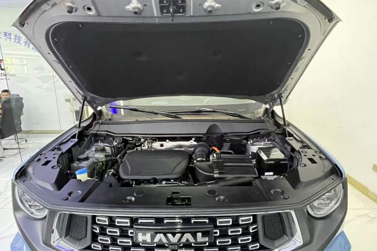 Used Haval H Dog New Energy 2023 DHT-PHEV 105km Tide Electric Version Plus Engine Bay