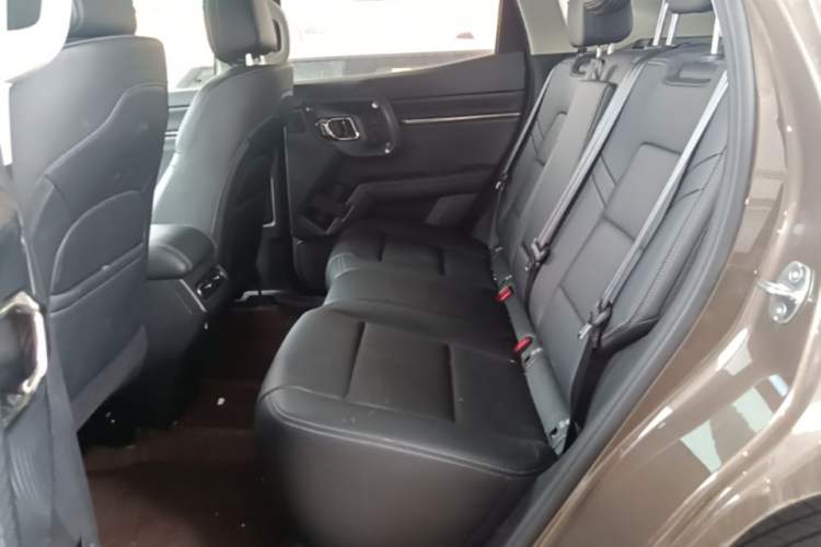 Used Haval H Dog New Energy 2023 DHT-PHEV 105km Tide Electric Version Plus Left Rear Seat
