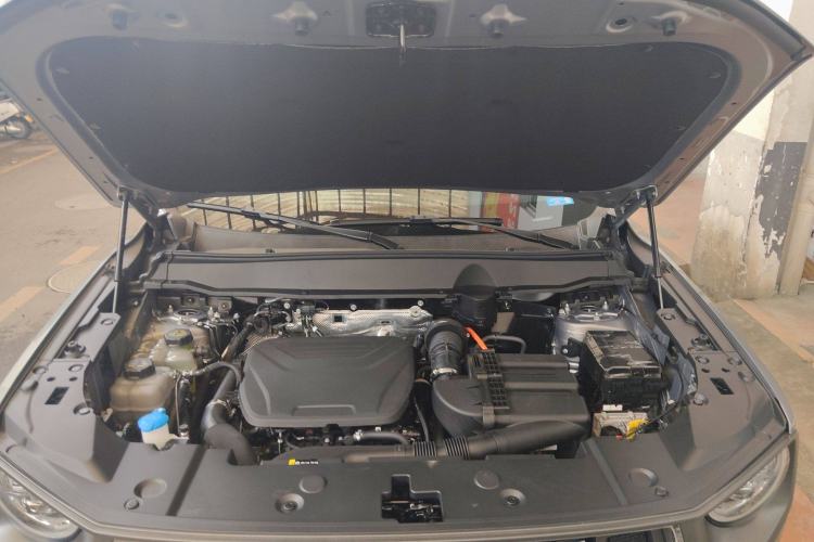 Used Haval H Dog New Energy 2023 DHT-PHEV 105km Tide Electric Version Plus Engine Bay
