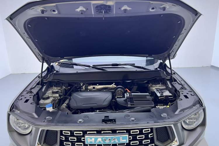 Used Haval H Dog New Energy 2023 DHT-PHEV 105km Tide Electric Version Plus Engine Bay