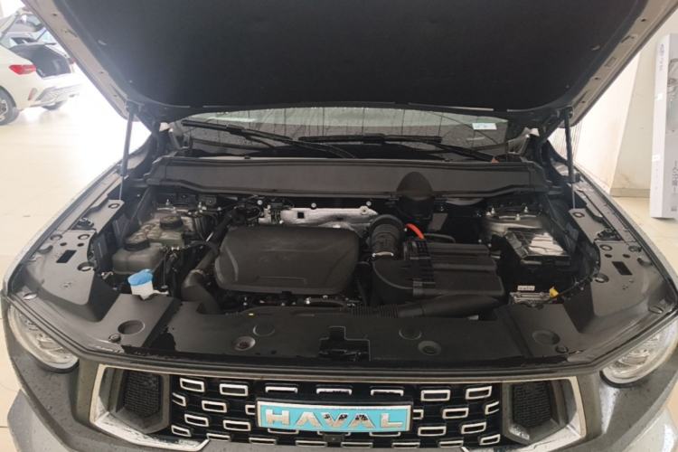 Used Haval H Dog New Energy 2023 DHT-PHEV 105km Tide Electric Version Plus Engine Bay