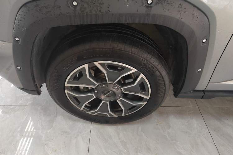 Used Haval H Dog New Energy 2023 DHT-PHEV 105km Tide Electric Version Plus Exterior 1