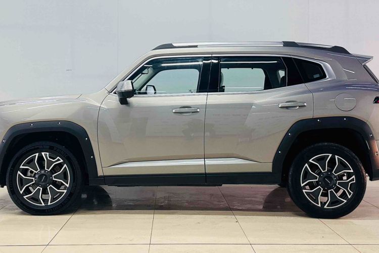 Used Haval H Dog New Energy 2023 DHT-PHEV 105km Tide Electric Version Plus Exterior 3