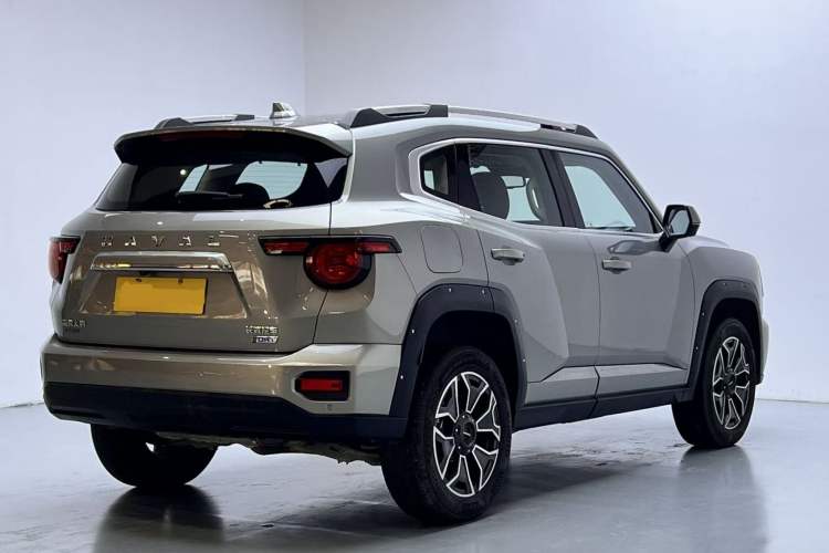 Used Haval H Dog New Energy 2023 DHT-PHEV 105km Tide Electric Version Plus Exterior 8