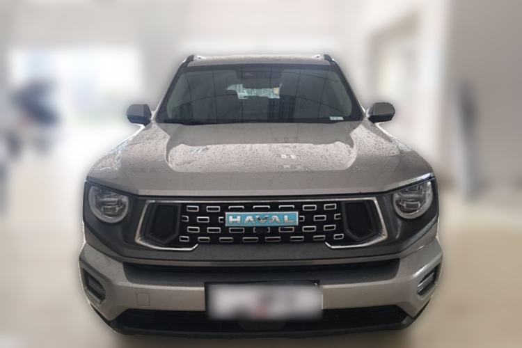 Used Haval H Dog New Energy 2023 DHT-PHEV 105km Tide Electric Version Plus Front