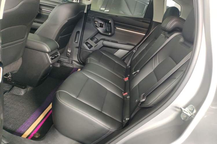 Used Haval H Dog New Energy 2023 DHT-PHEV 105km Tide Electric Version Plus Left Rear Seat