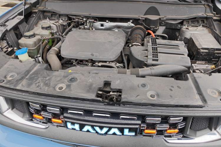Used Haval H Dog New Energy 2023 DHT-PHEV 105km Tide Electric Version Plus Engine Bay