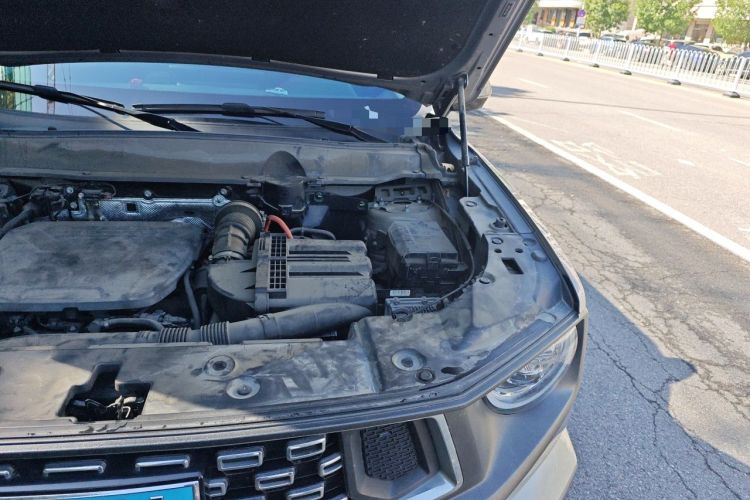 Used Haval H Dog New Energy 2023 DHT-PHEV 105km Tide Electric Version Plus Engine Bay Left