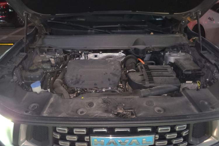 Used Haval H Dog New Energy 2023 DHT-PHEV 105km Tide Electric Version Plus Engine Bay