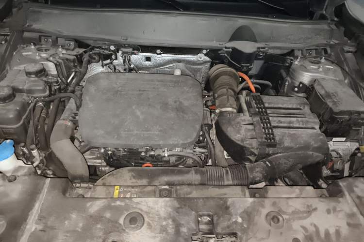 Used Haval H Dog New Energy 2023 DHT-PHEV 105km Tide Electric Version Plus Engine Bay