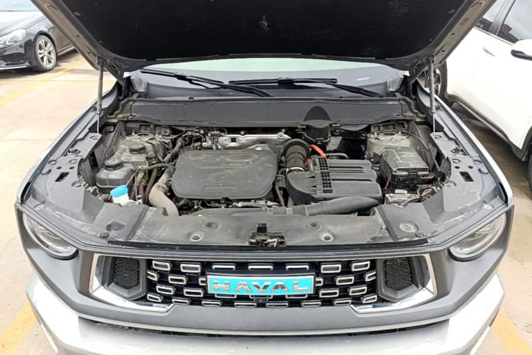 Used Haval H Dog New Energy 2023 DHT-PHEV 105km Tide Electric Version Plus Engine Bay