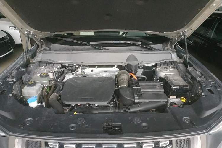 Used Haval H Dog New Energy 2023 DHT-PHEV 105km Tide Electric Version Plus Engine Bay