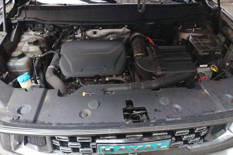 Used Haval H Dog New Energy 2023 DHT-PHEV 105km Tide Electric Version Plus Engine Bay