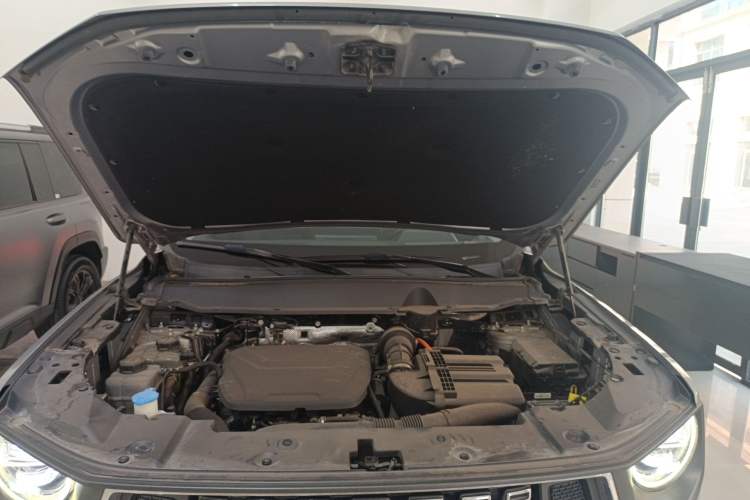 Used Haval H Dog New Energy 2023 DHT-PHEV 105km Tide Electric Version Plus Engine Bay