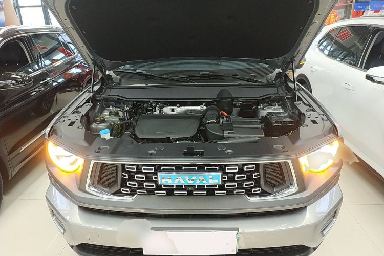 Used Haval H Dog New Energy 2023 DHT-PHEV 105km Tide Electric Version Plus Engine Bay