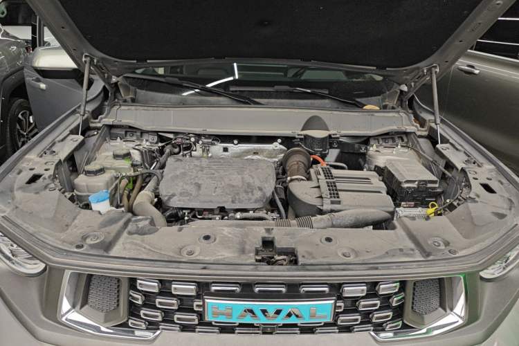 Used Haval H Dog New Energy 2023 DHT-PHEV 105km Tide Electric Version Plus Engine Bay