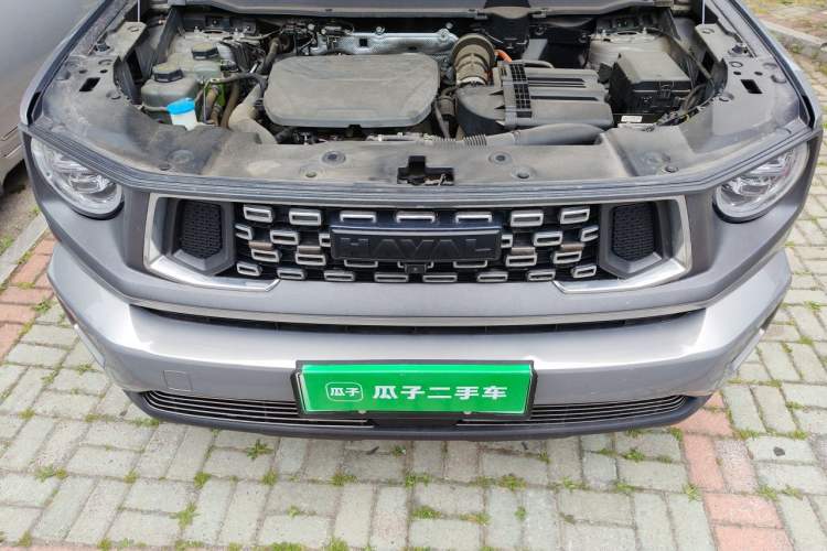 Used Haval H Dog New Energy 2023 DHT-PHEV 105km Tide Electric Version Plus Engine Bay