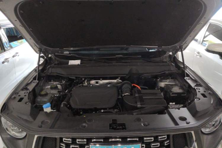 Used Haval H Dog New Energy 2023 DHT-PHEV 105km Tide Electric Version Plus Engine Bay