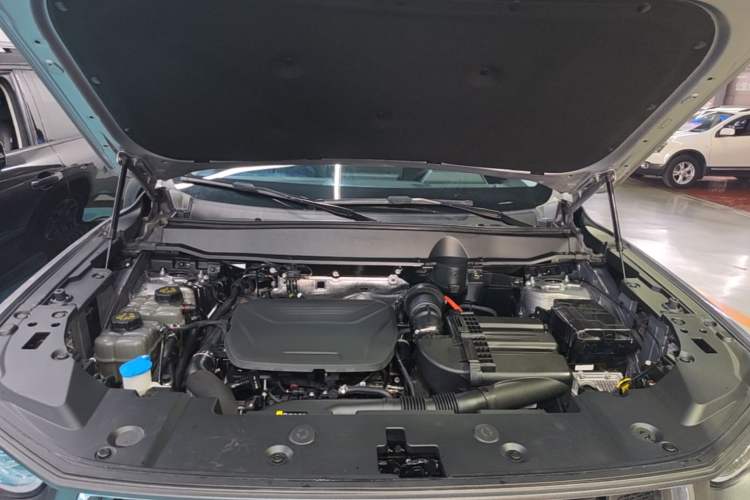 Used Haval H Dog New Energy 2023 DHT-PHEV 105km Tide Electric Version Plus Engine Bay