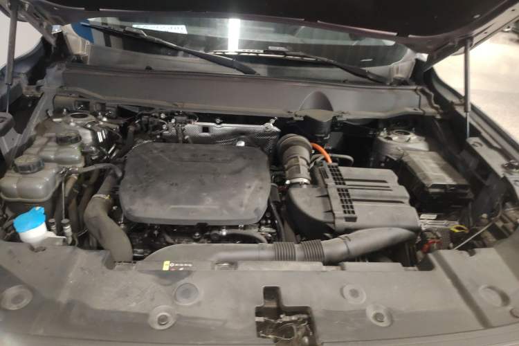 Used Haval H Dog New Energy 2023 DHT-PHEV 105km Tide Electric Version Plus Engine Bay