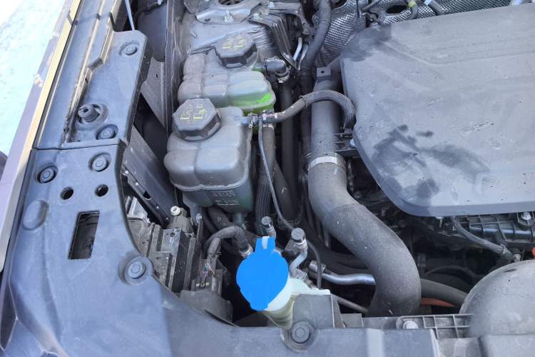 Used Haval H Dog New Energy 2023 DHT-PHEV 105km Trend Electric Edition Engine Bay Right