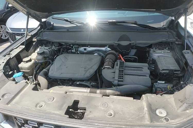 Used Haval H Dog New Energy 2023 DHT-PHEV 105km Tide Electric Version Plus Engine Bay