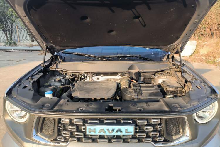 Used Haval H Dog New Energy 2023 DHT-PHEV 105km Tide Electric Version Plus Engine Bay